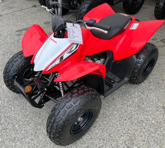 2020 Honda TRX90 X