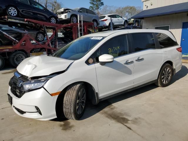 2023 Honda Odyssey EXL