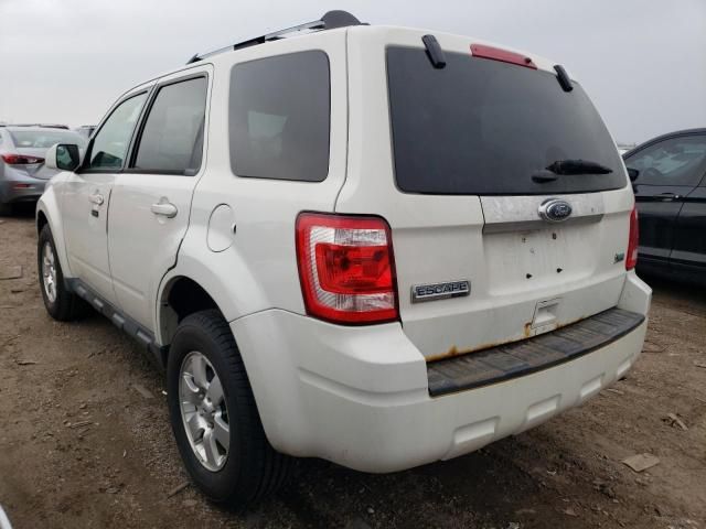 2011 Ford Escape Limited