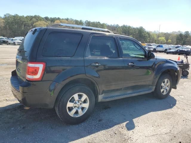 2011 Ford Escape Limited