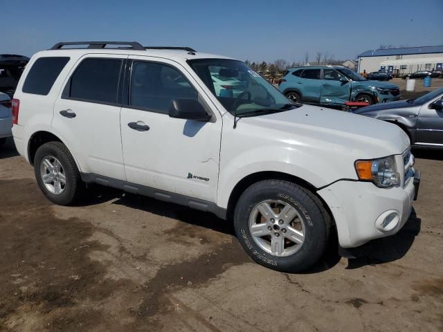 2012 Ford Escape Hybrid