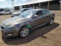 Salvage cars for sale from Copart Phoenix, AZ: 2013 KIA Optima LX