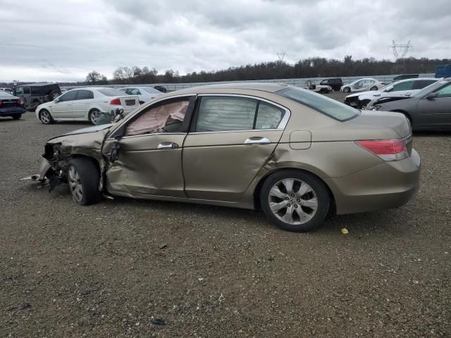 2008 Honda Accord EXL