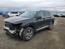 Salvage cars for sale at Vallejo, CA auction: 2021 Hyundai Santa FE SEL