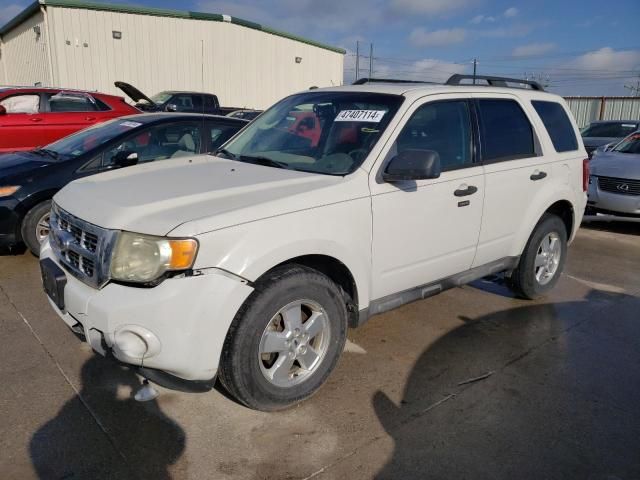 2009 Ford Escape XLT