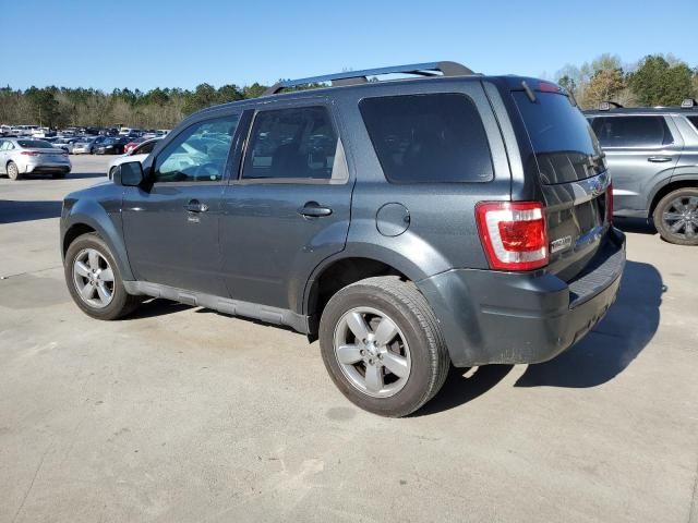 2009 Ford Escape Limited