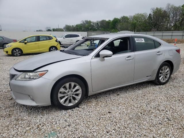 2013 Lexus ES 300H