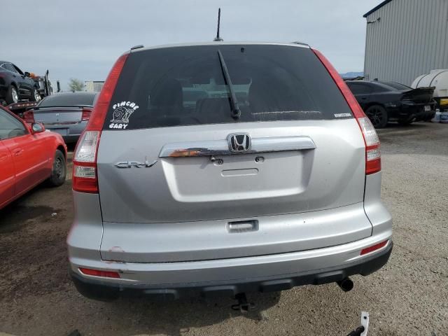 2010 Honda CR-V EXL