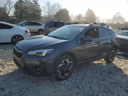 Subaru Crosstrek salvage cars for sale: 2021 Subaru Crosstrek Limited