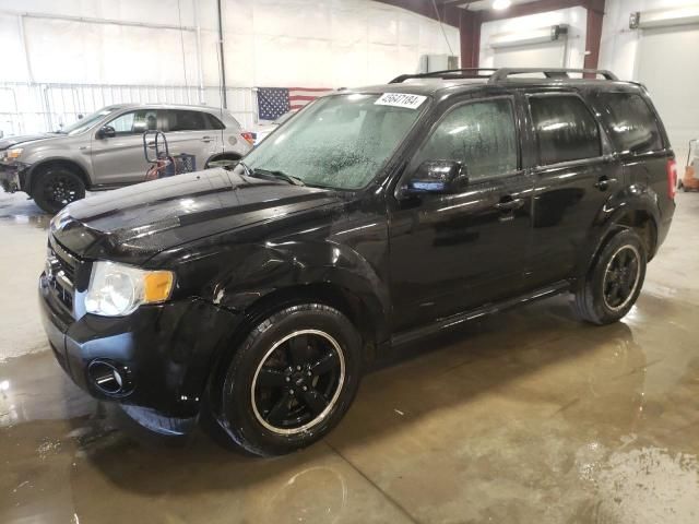 2010 Ford Escape XLT