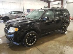 Ford salvage cars for sale: 2010 Ford Escape XLT