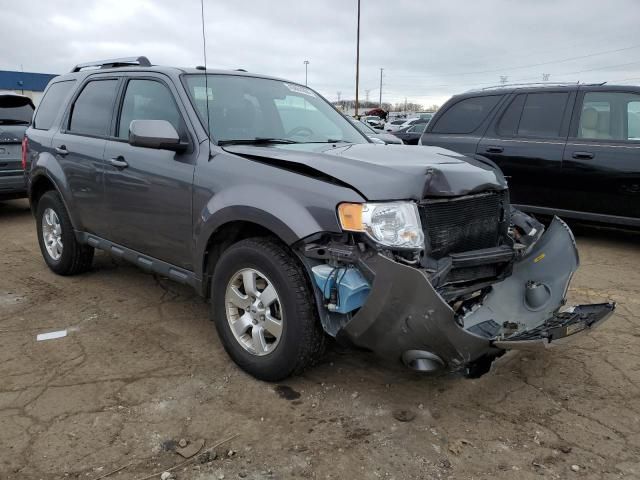 2010 Ford Escape Limited