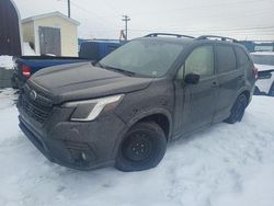 Salvage cars for sale from Copart Elmsdale, NS: 2022 Subaru Forester Premium