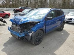 Salvage cars for sale from Copart Glassboro, NJ: 2019 Ford Escape SE