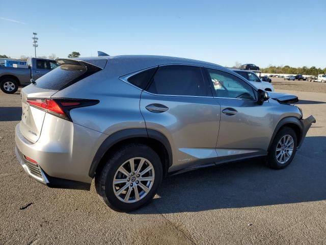 2020 Lexus NX 300H