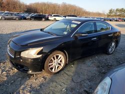 Salvage cars for sale from Copart Windsor, NJ: 2010 Nissan Maxima S