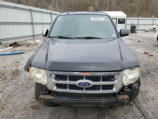 2010 Ford Escape XLT