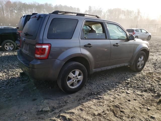 2009 Ford Escape XLT