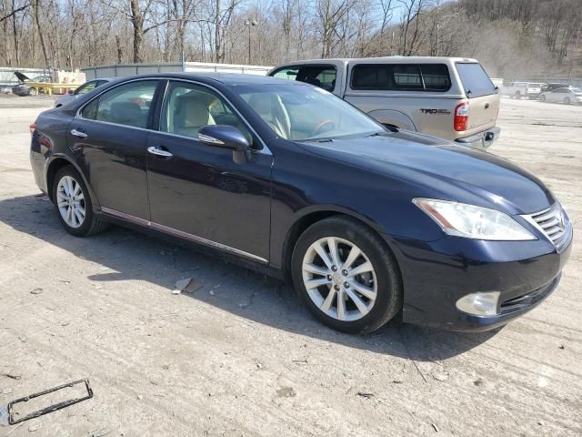 2010 Lexus ES 350