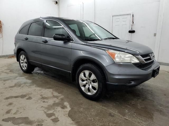 2010 Honda CR-V LX