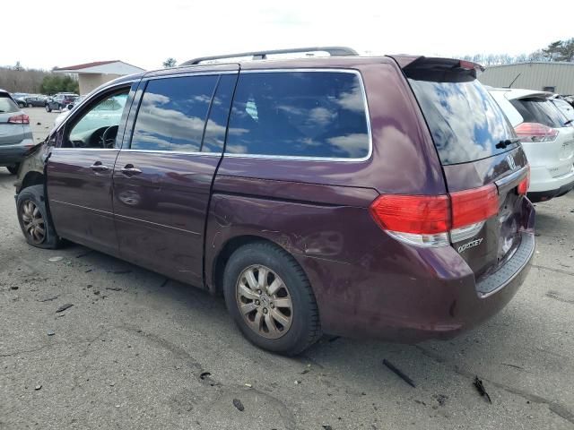 2009 Honda Odyssey EXL