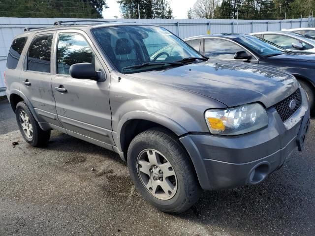 2005 Ford Escape Limited