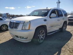 Salvage cars for sale at Windsor, NJ auction: 2007 Cadillac Escalade Luxury