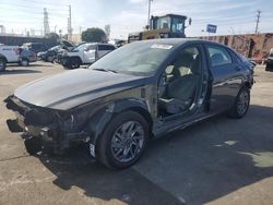 Hyundai Elantra salvage cars for sale: 2024 Hyundai Elantra Blue