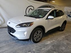 Salvage cars for sale at Lebanon, TN auction: 2022 Ford Escape SEL