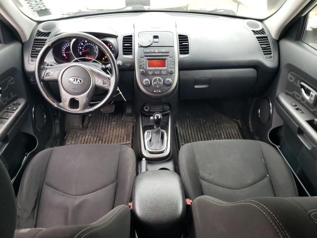 2013 KIA Soul +