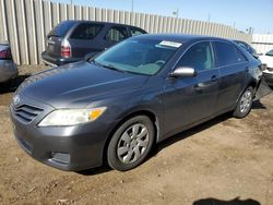 Vehiculos salvage en venta de Copart San Martin, CA: 2011 Toyota Camry Base