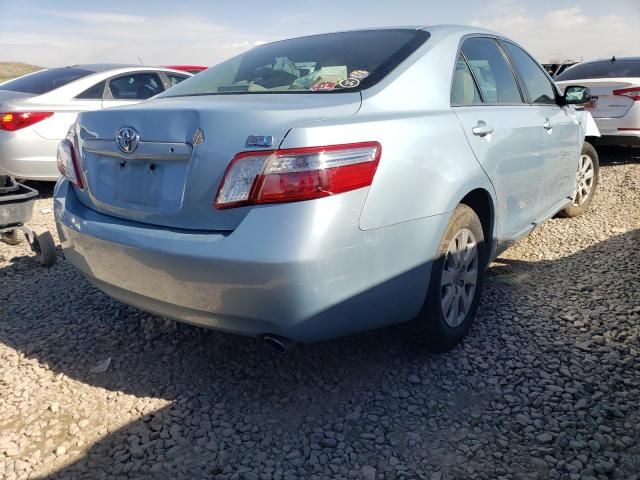 2009 Toyota Camry Hybrid