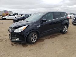 Salvage cars for sale from Copart Amarillo, TX: 2016 Ford Escape SE