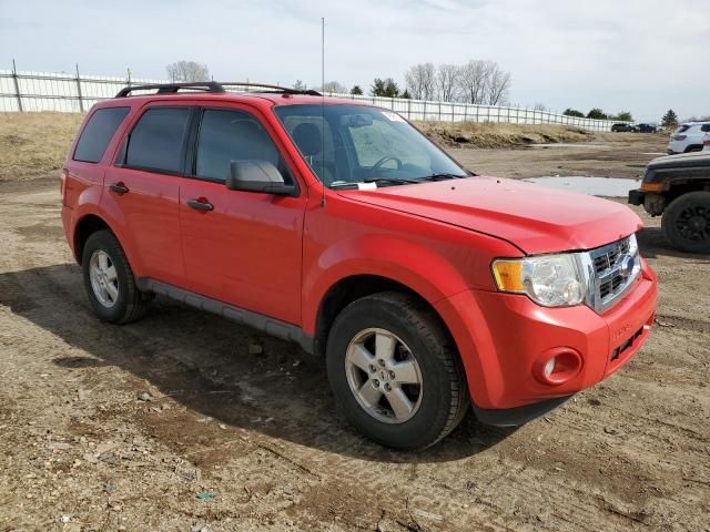 2009 Ford Escape XLT