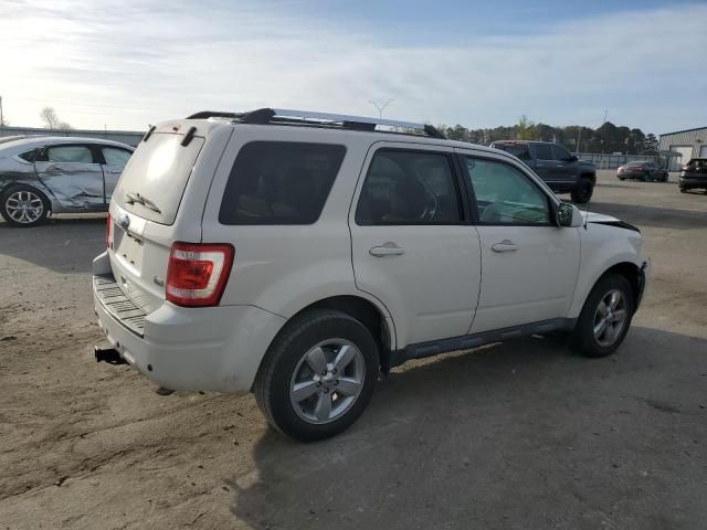 2011 Ford Escape Limited