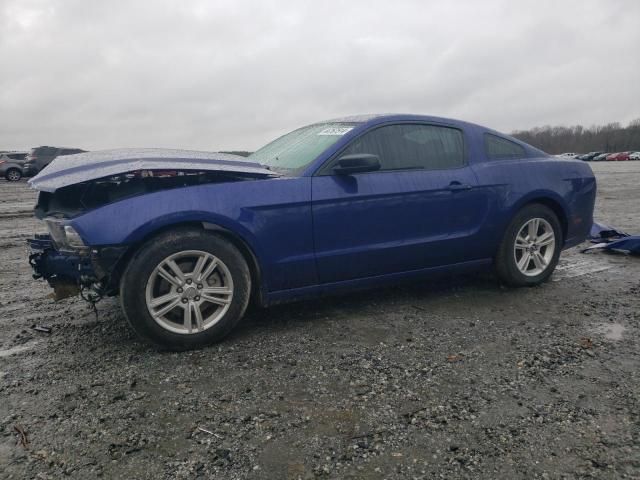 2013 Ford Mustang