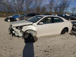 Salvage cars for sale from Copart Cicero, IN: 2013 Chevrolet Malibu 2LT