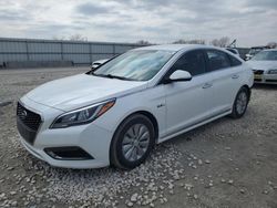 Hyundai Sonata Hybrid salvage cars for sale: 2016 Hyundai Sonata Hybrid