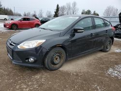 Ford Focus salvage cars for sale: 2012 Ford Focus SE