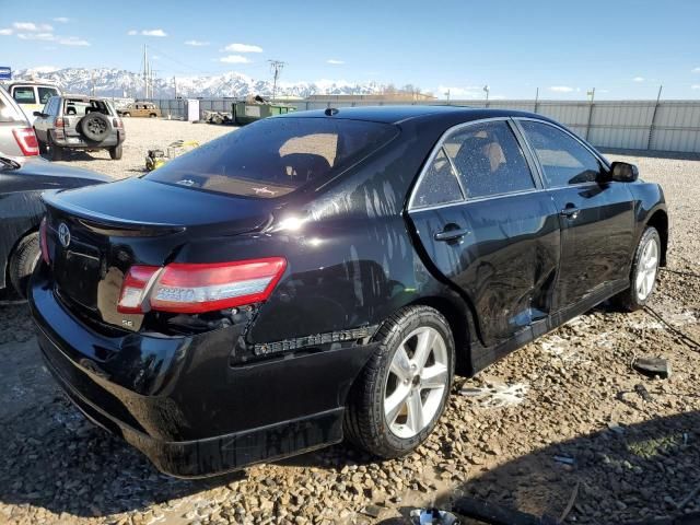 2010 Toyota Camry Base