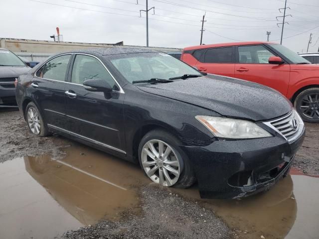 2010 Lexus ES 350