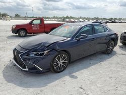Salvage cars for sale from Copart Arcadia, FL: 2024 Lexus ES 350 Base