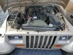 1995 Jeep Wrangler / YJ S