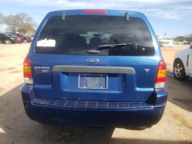 2007 Ford Escape XLT