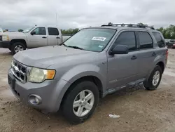 Ford Vehiculos salvage en venta: 2008 Ford Escape HEV