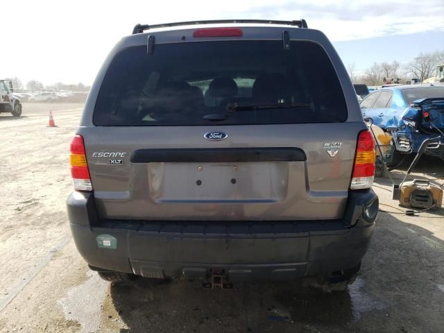 2005 Ford Escape XLT