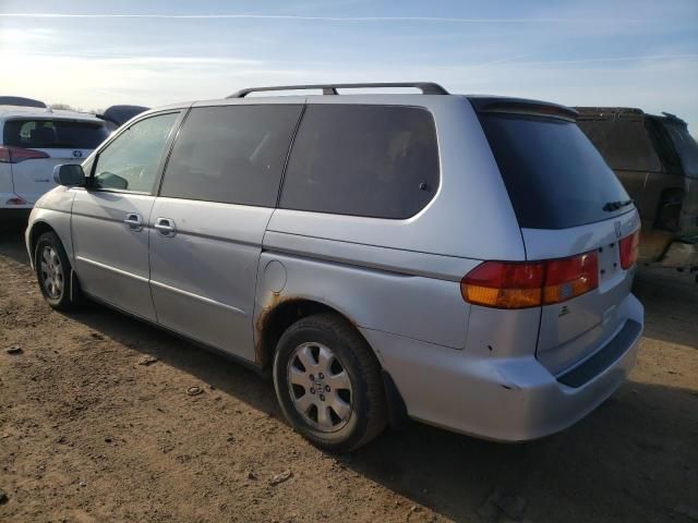 2004 Honda Odyssey EXL