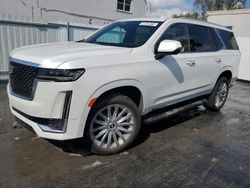 Salvage cars for sale at Opa Locka, FL auction: 2023 Cadillac Escalade Premium Luxury