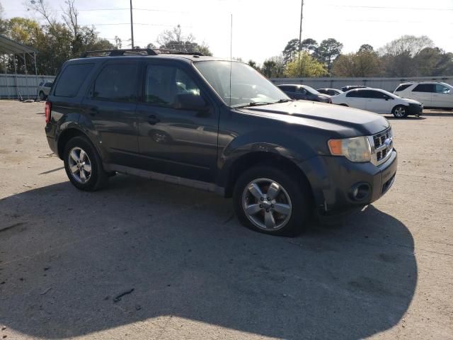 2009 Ford Escape XLT