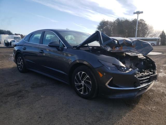 2021 Hyundai Sonata Hybrid